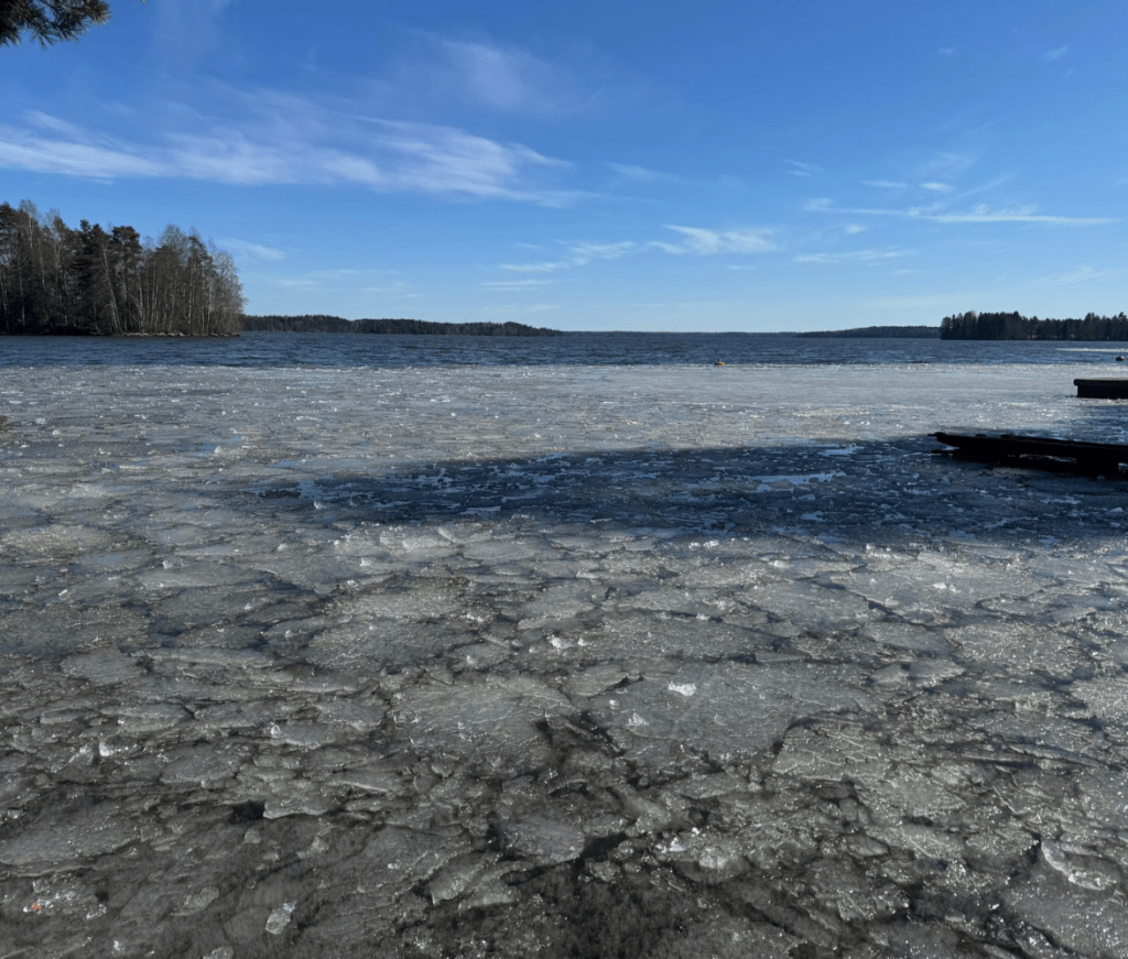Pieni ele sinulta voi pelastaa toisen ihmisen elämän – oma tarinani